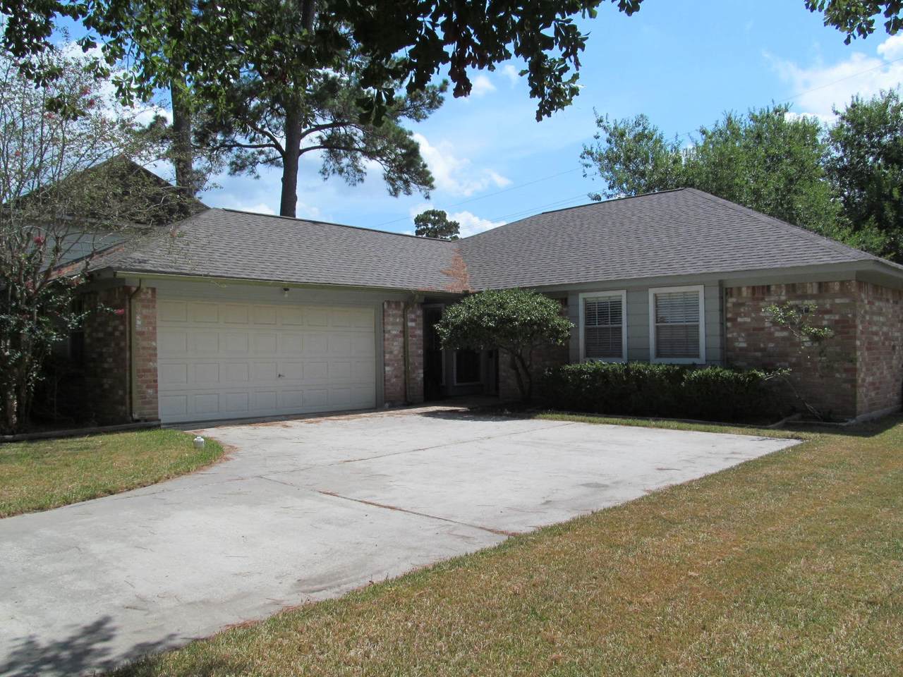 5506 Forest Timbers Drive - Photo 1