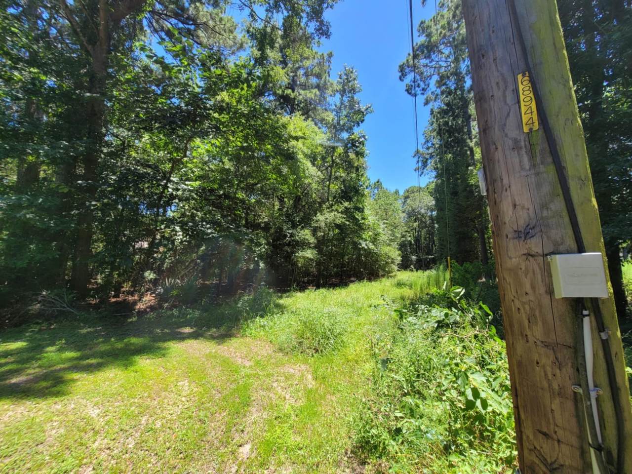 00 Chestnut Drive - Photo 1