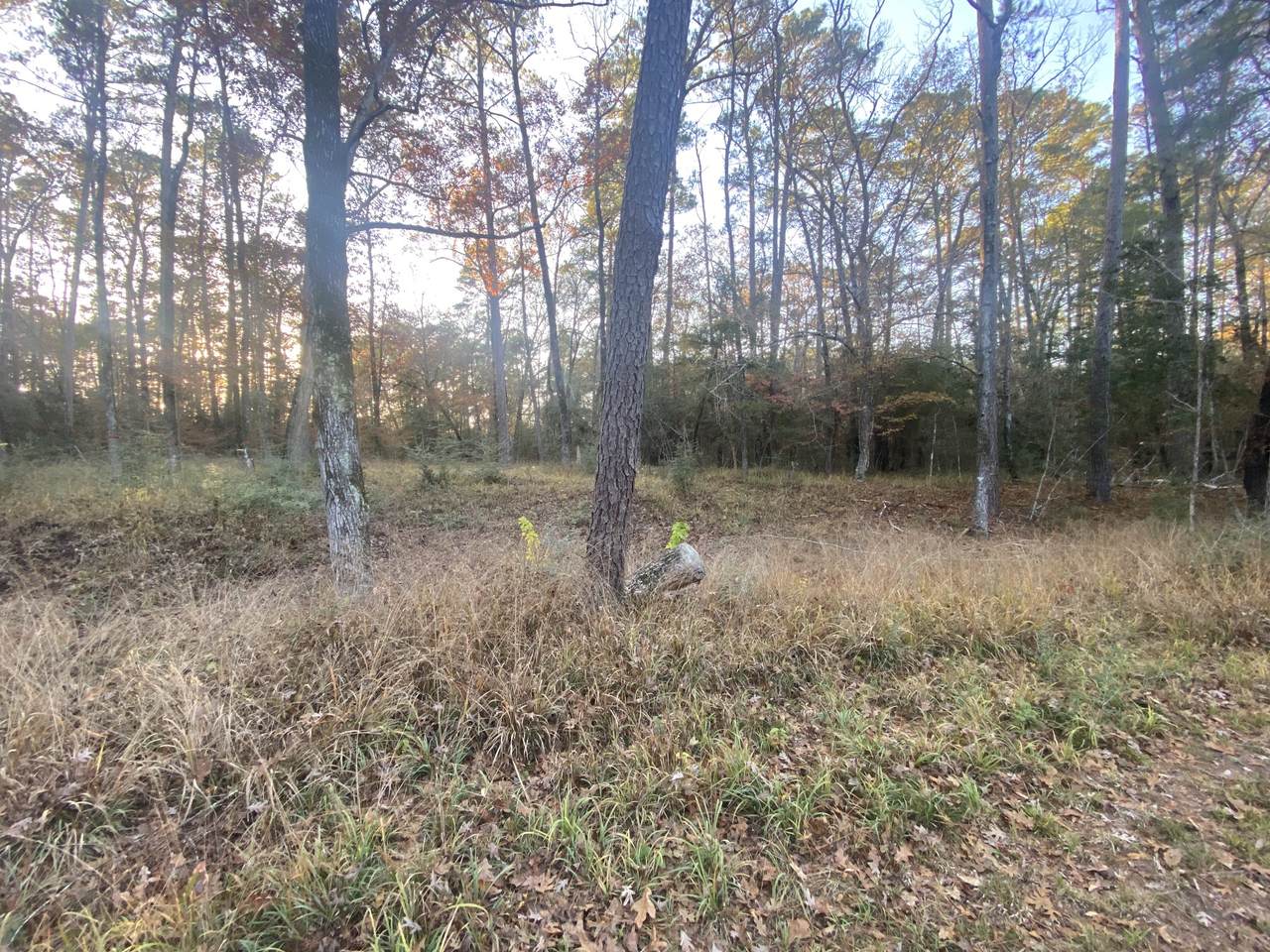 26721 Pecan Circle - Photo 1