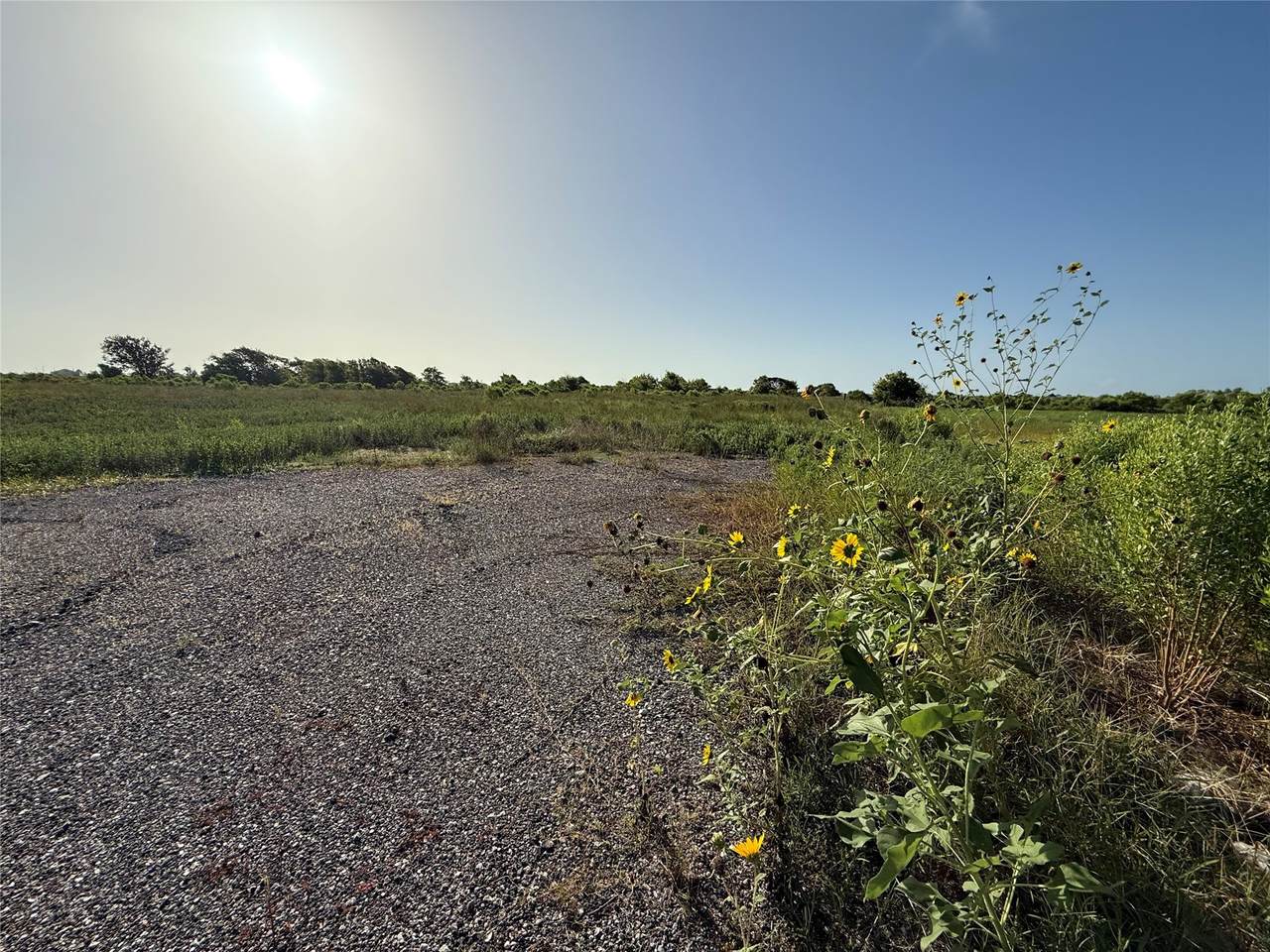 .28 AC Cr 298 - Caney Drive Street - Photo 1