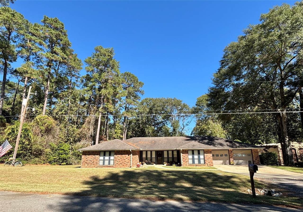 1016 Nellius Street - Photo 1