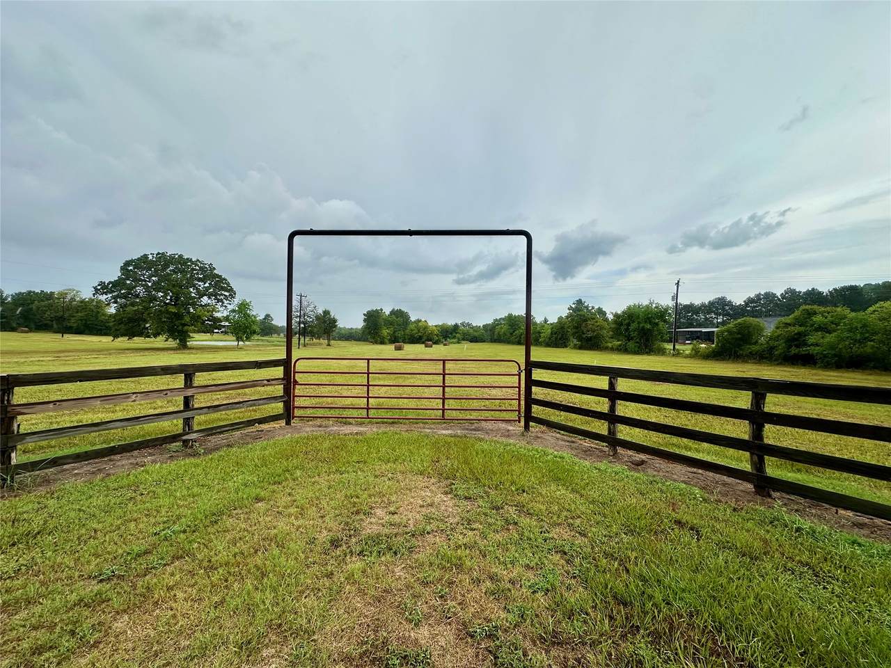 TBD Roy Webb Road Road - Photo 1