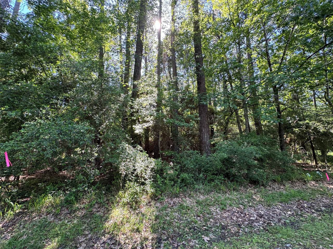 16 Forrest Hollow - Photo 1