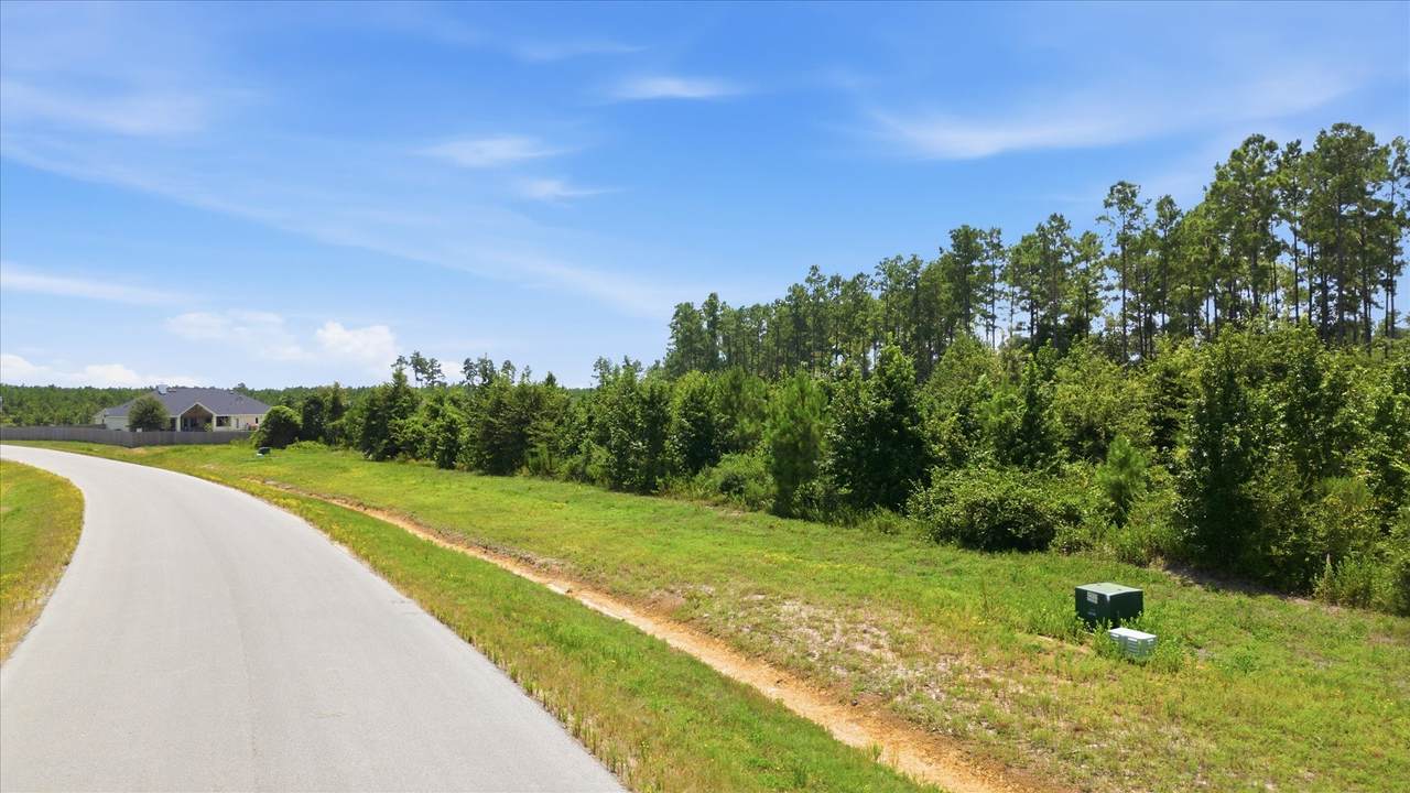 15977 Ridge Oak Road - Photo 1