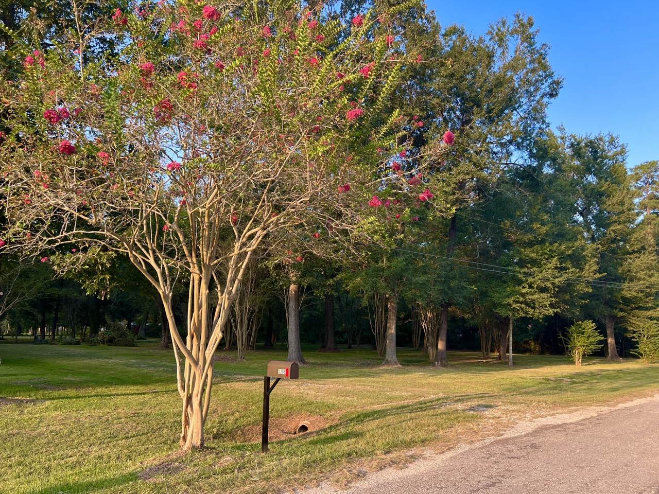 1265 County Road 6479 - Photo 1