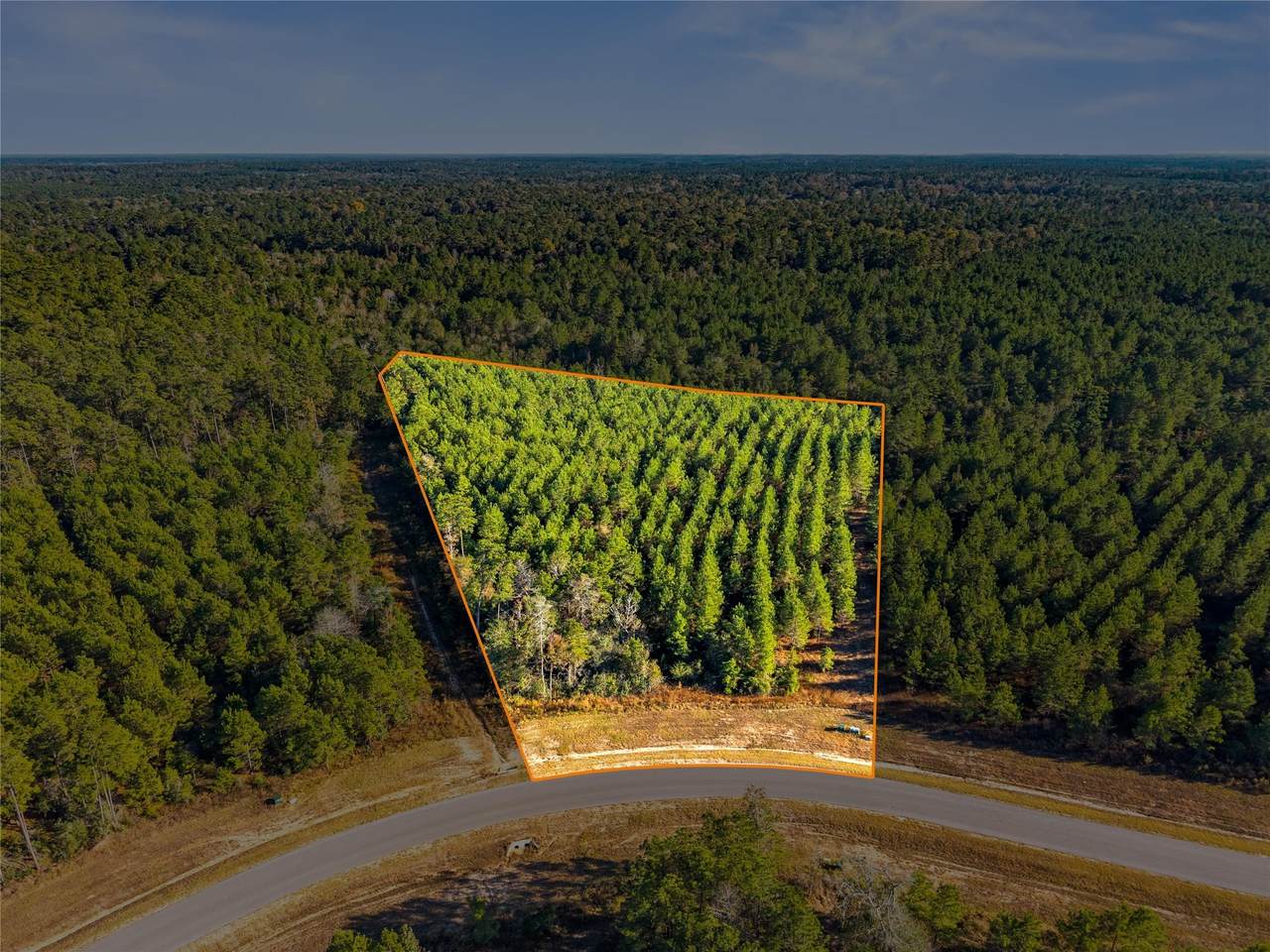 12684 Oak Barrel Road - Photo 1