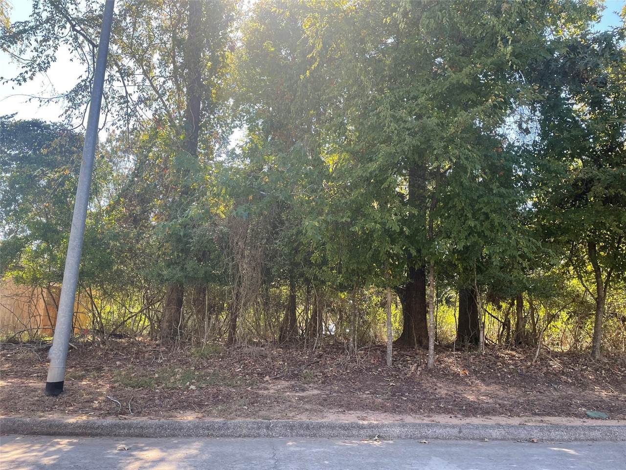 12963 Shady Grove Lane - Photo 1