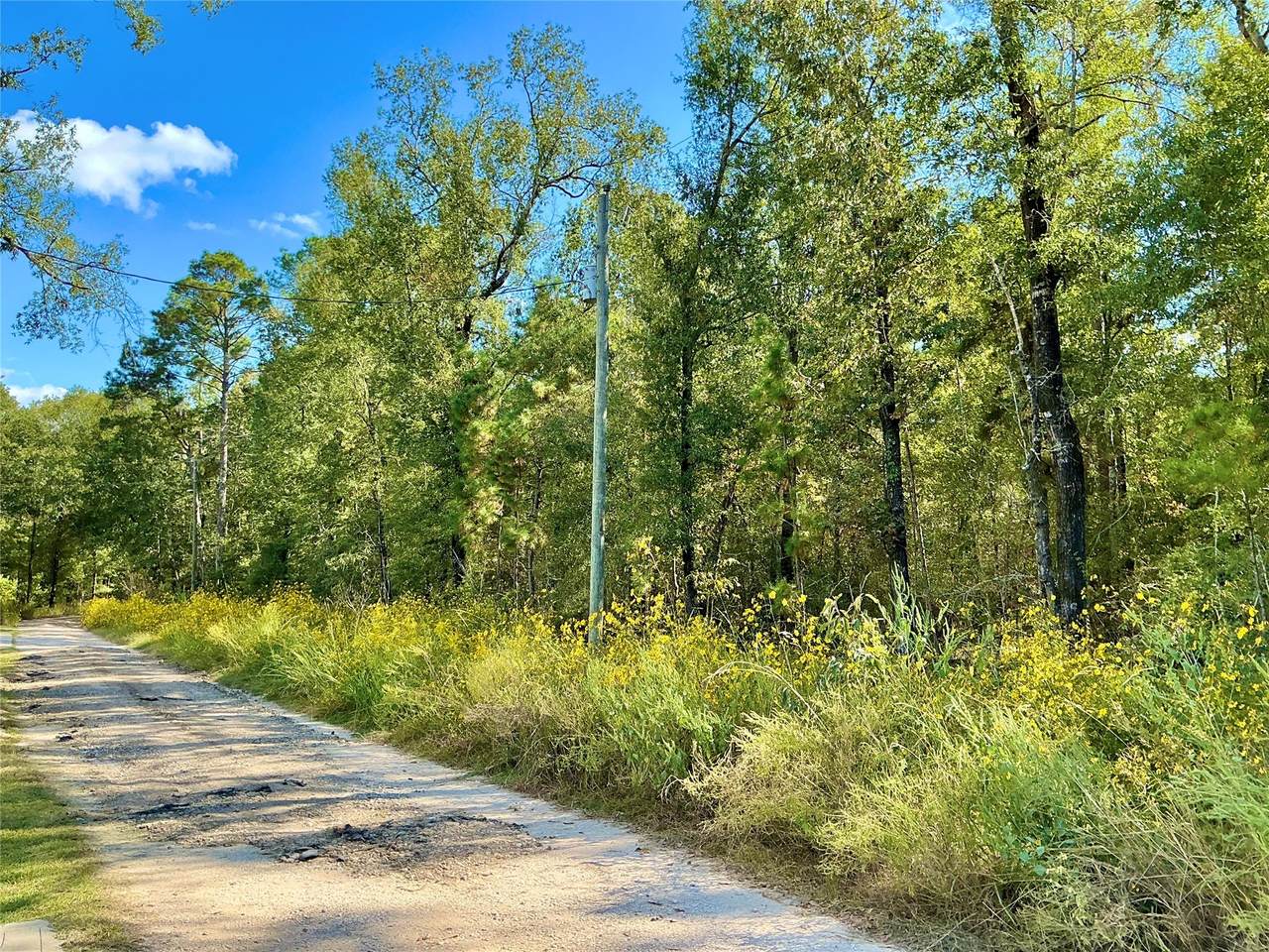 TBA Wendy Way Way - Photo 1