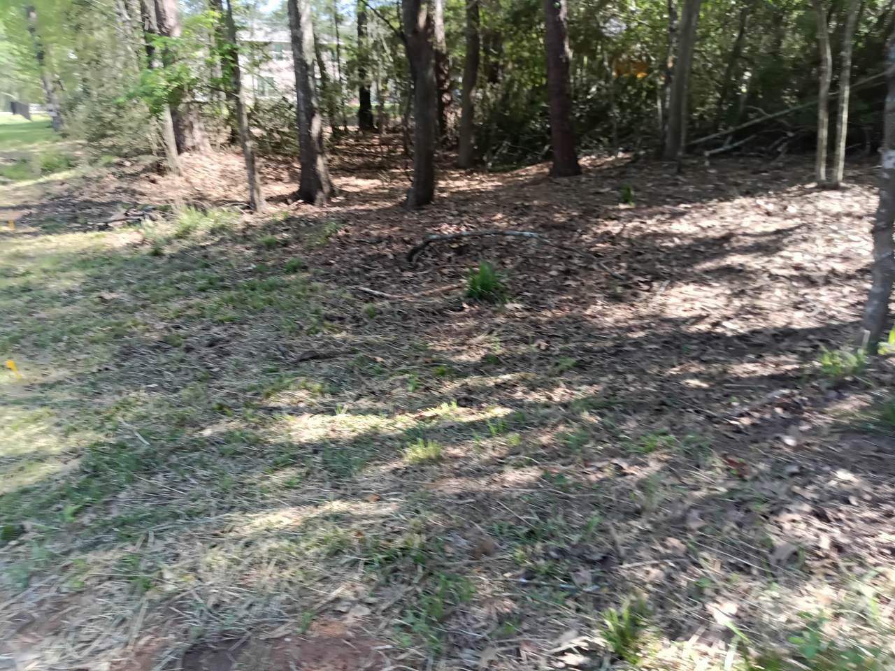 1008 White River Road - Photo 1