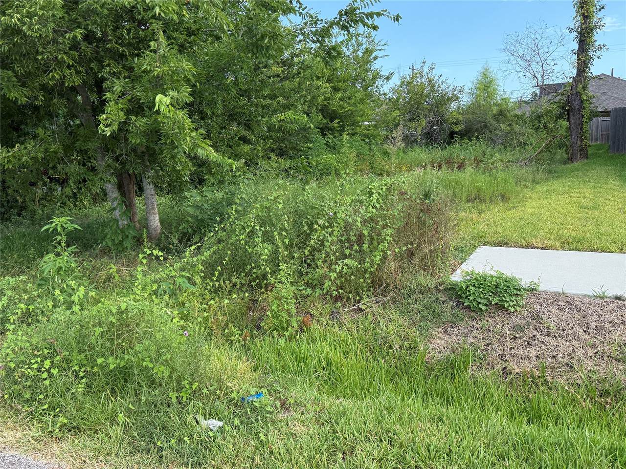 7949 Angus Street - Photo 1