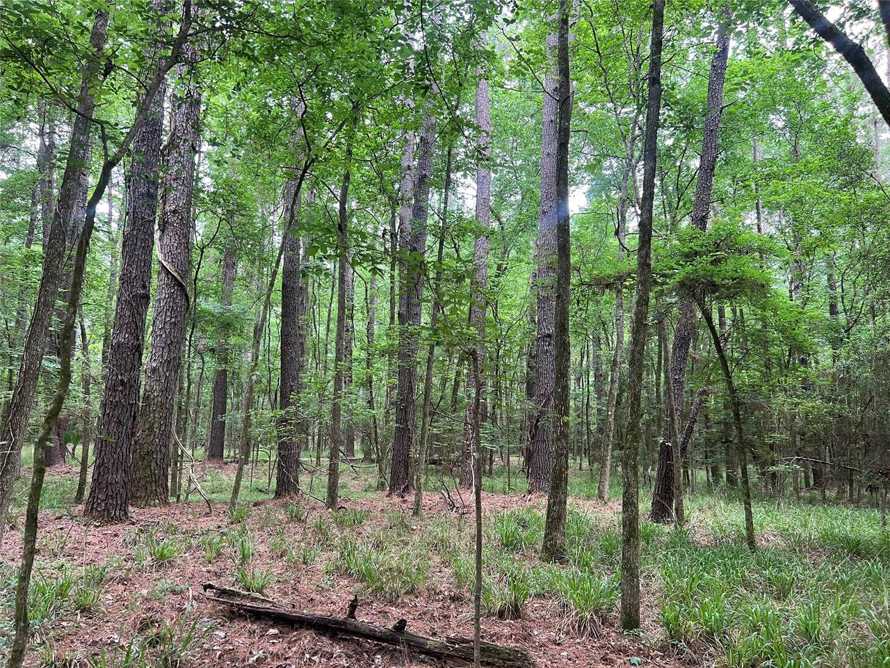 00 Wilderness Road - Photo 1