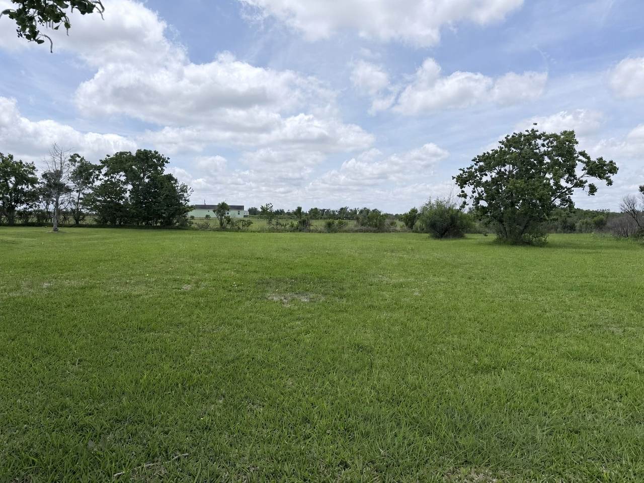 Lots 5,6 Bastrop Street - Photo 1