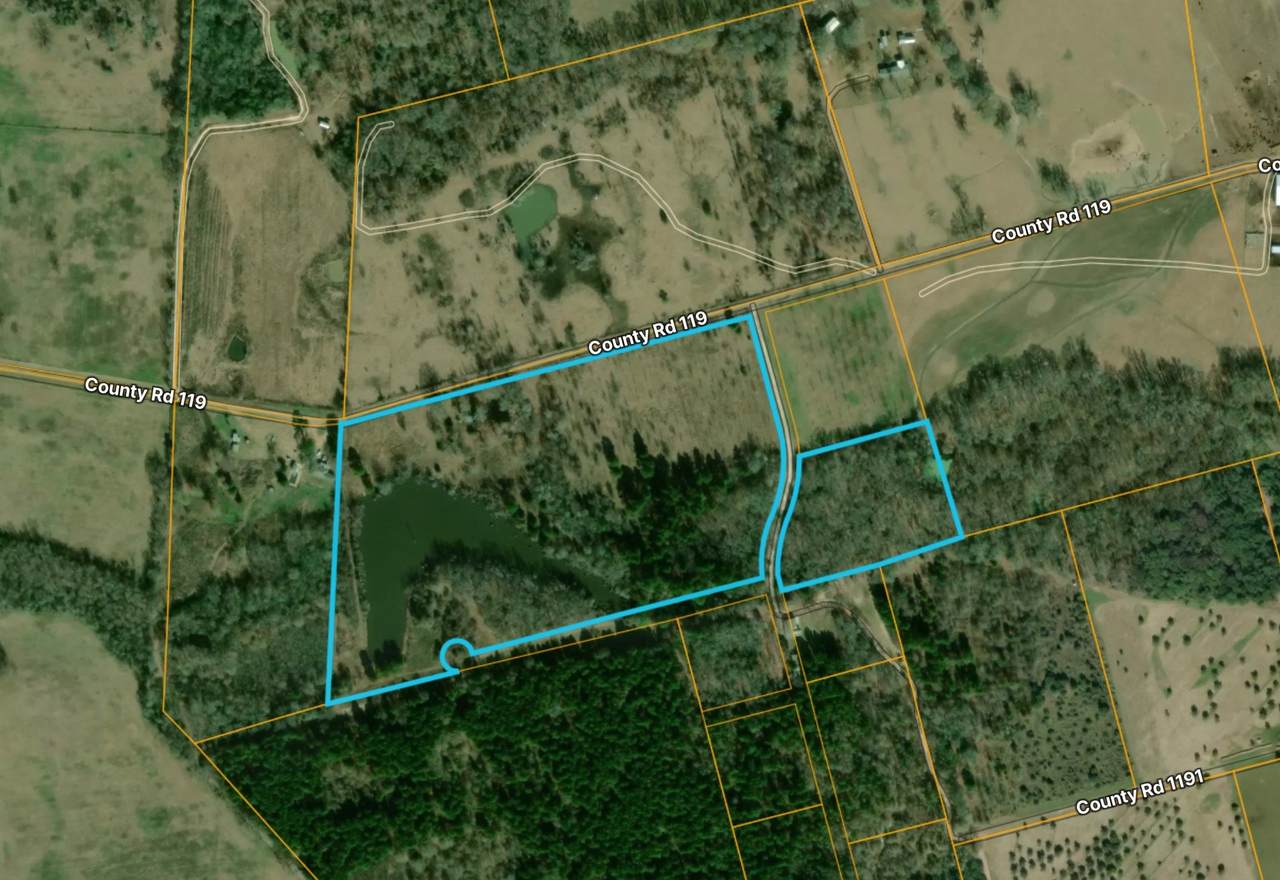 0 County Road 119 - Photo 1