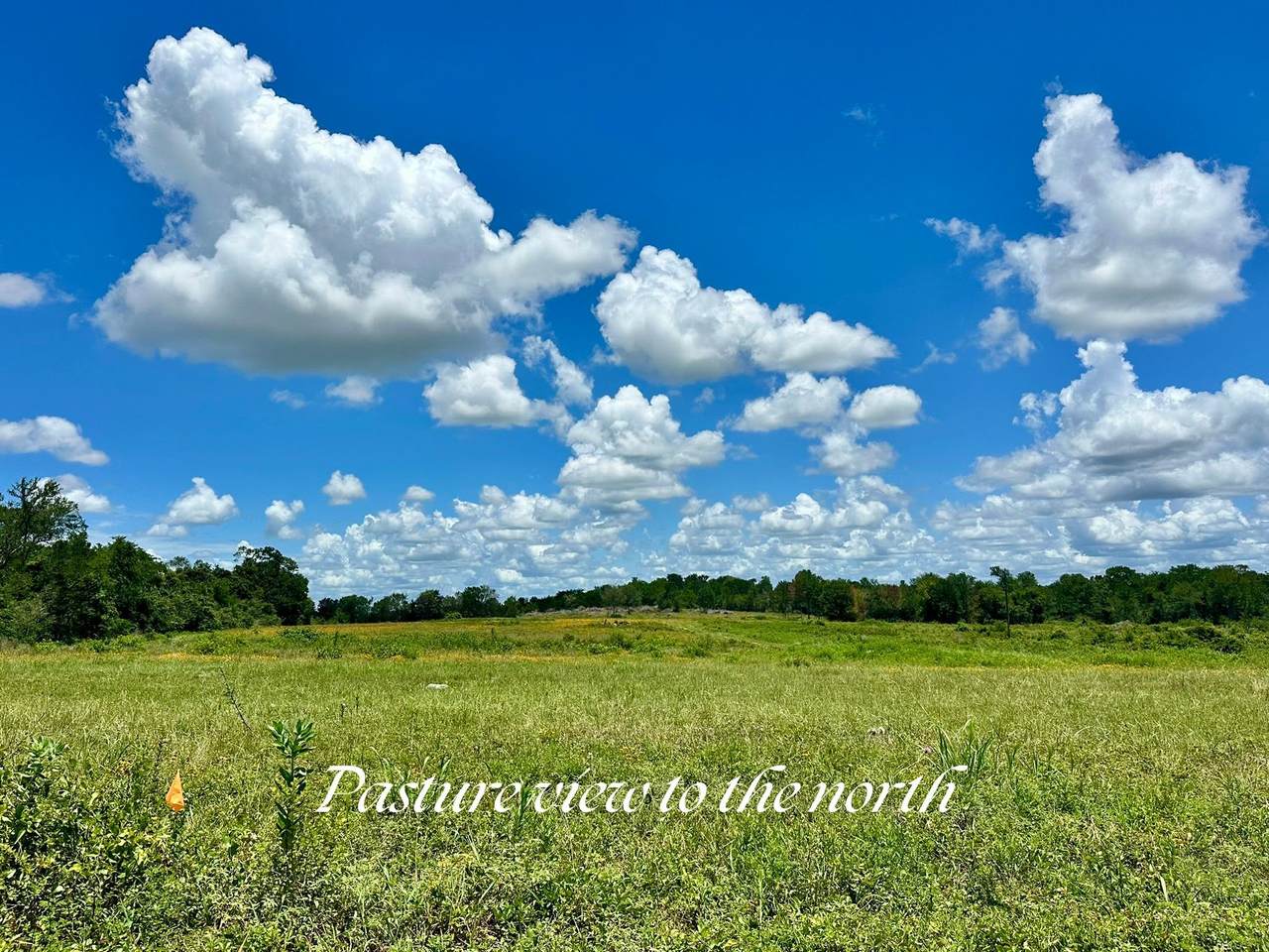 https://bt-photos.global.ssl.fastly.net/harmls/1280_boomver_1_12881559-2.jpg