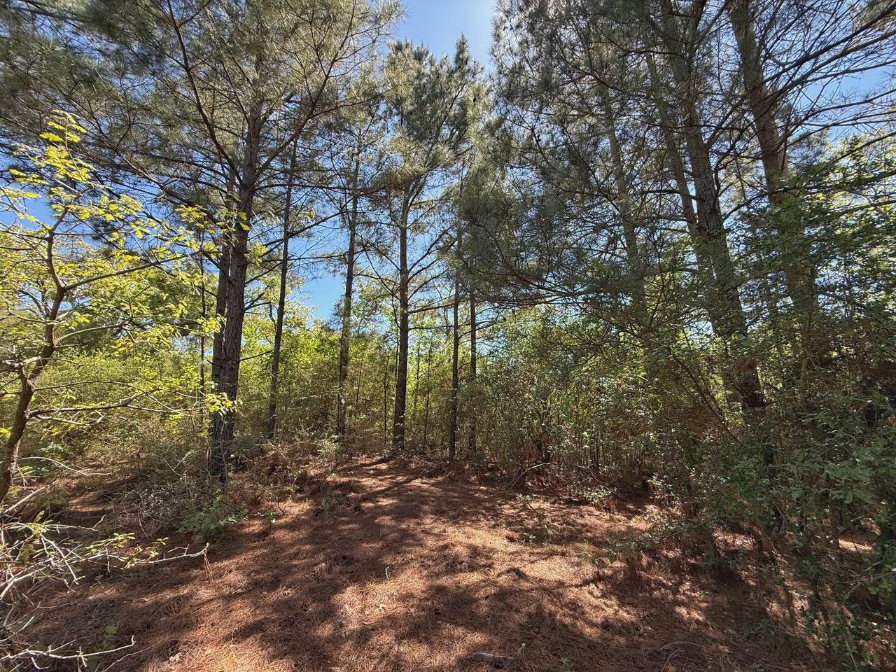 10 ac Cr 2926 - Photo 1