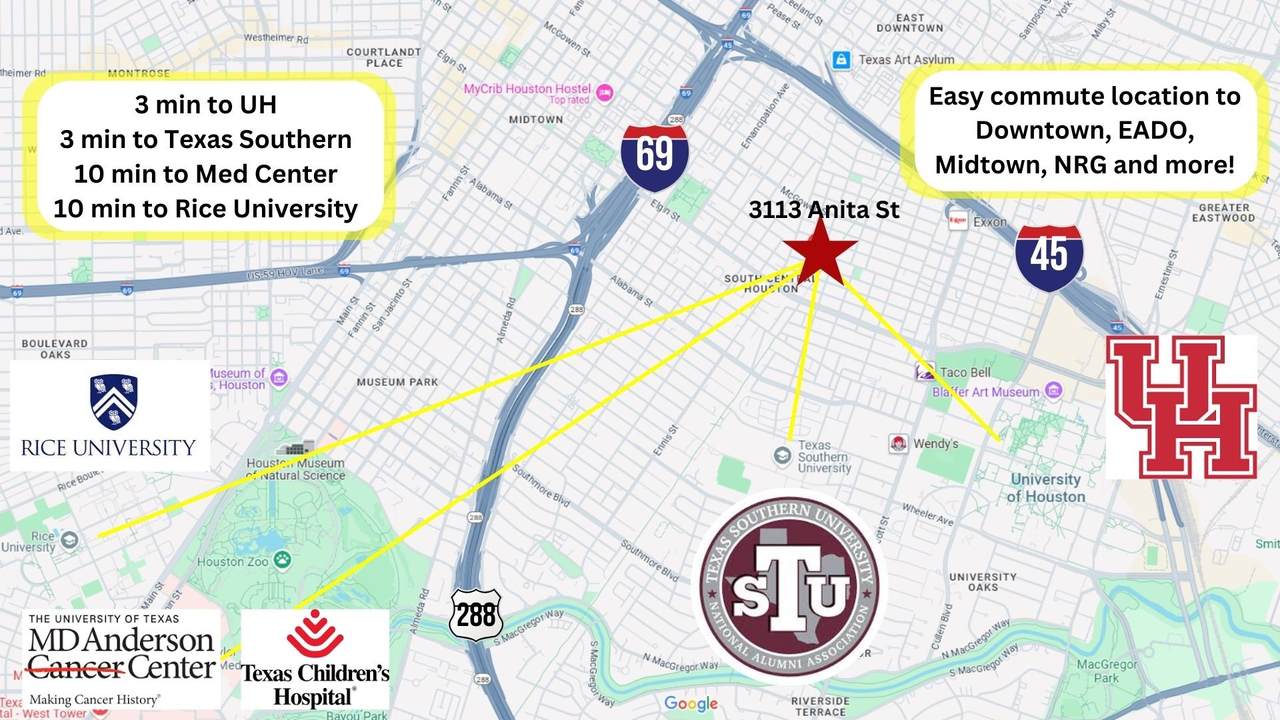 3113 Anita Street - Photo 1