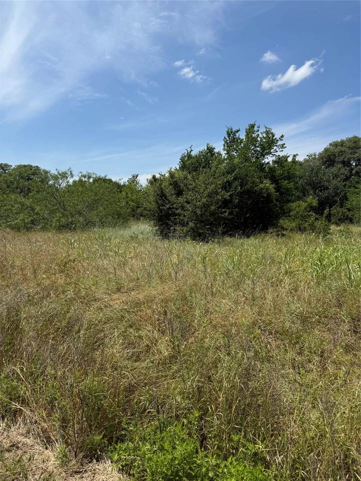 0 County Road 438 - Photo 1