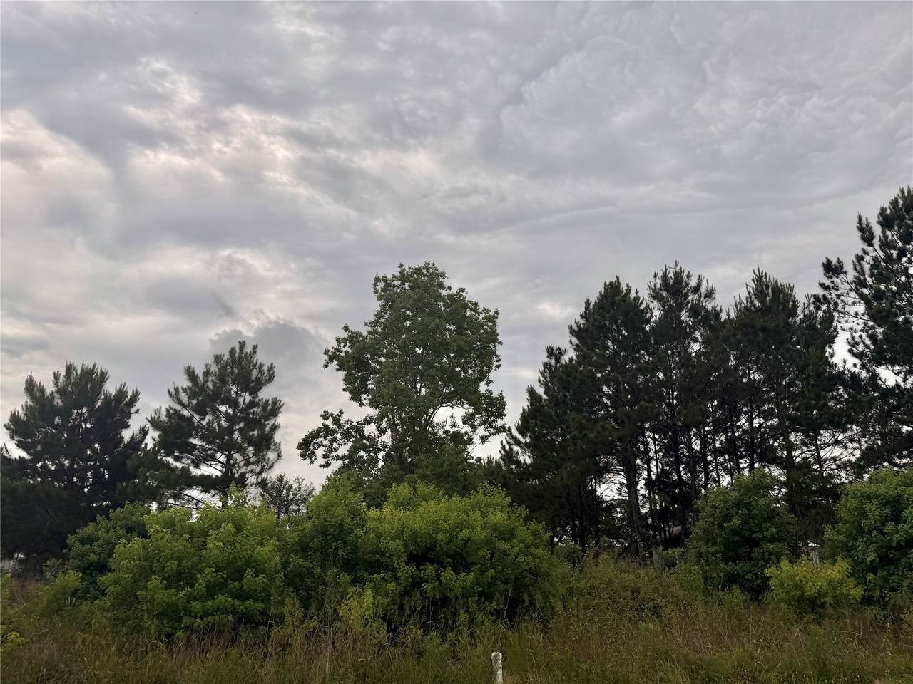 https://bt-photos.global.ssl.fastly.net/harmls/1280_boomver_1_14206991-2.jpg