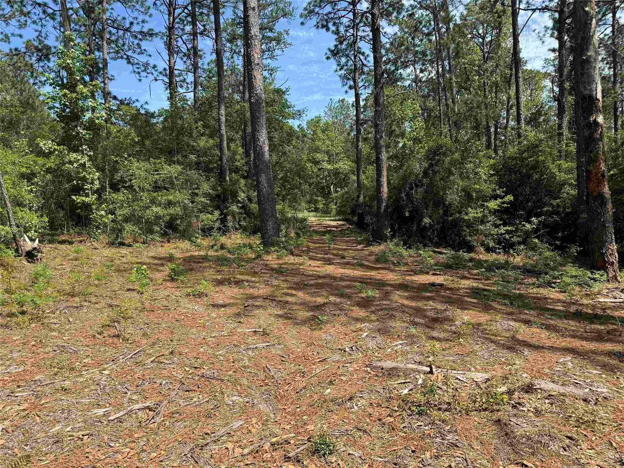 565 Sparkleberry Drive - Photo 1