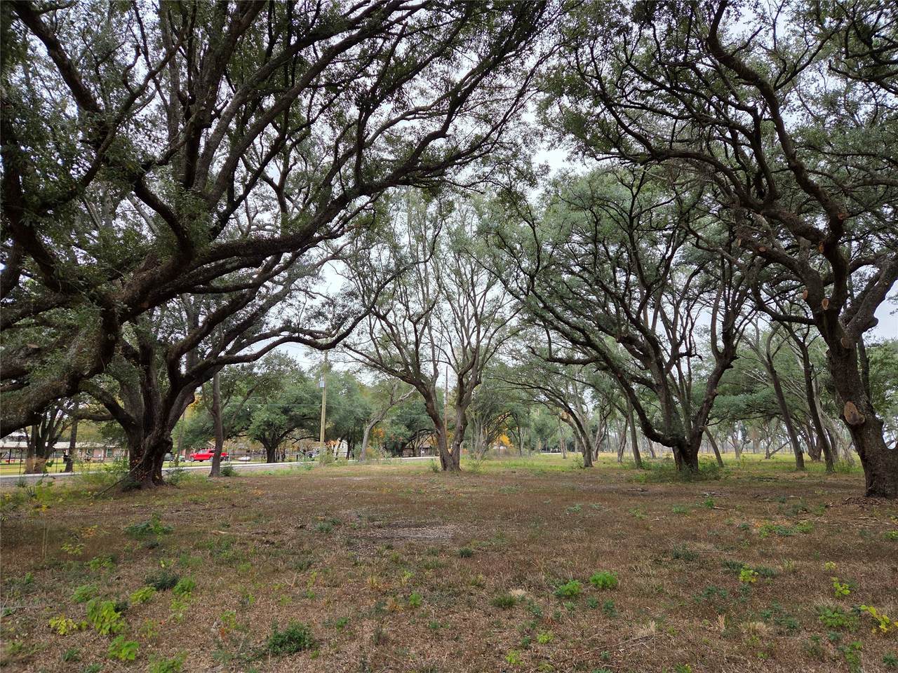 00 Runneburg Road - Photo 1