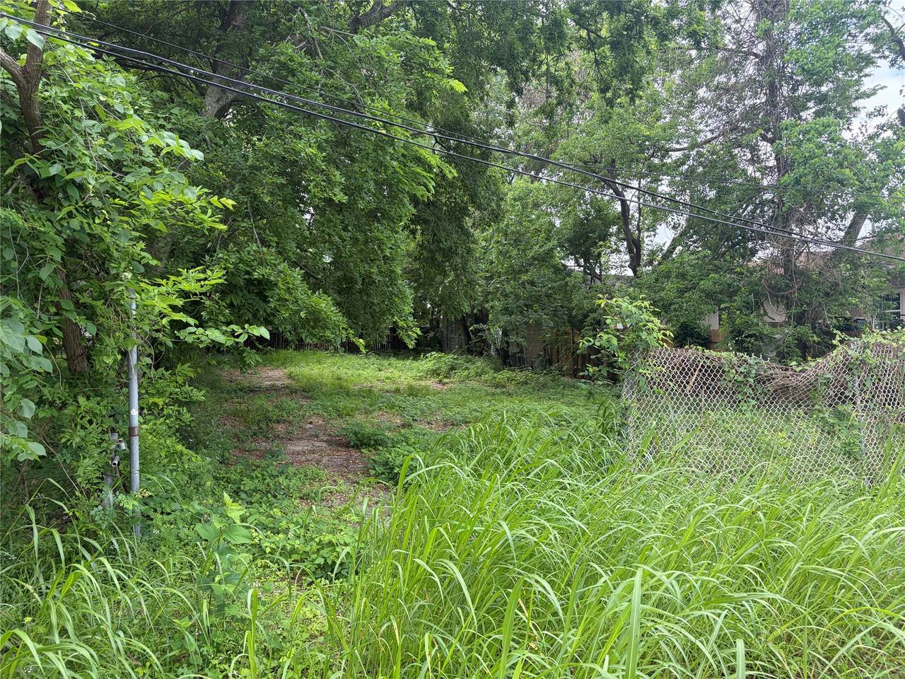 3710 Farmer Street - Photo 1