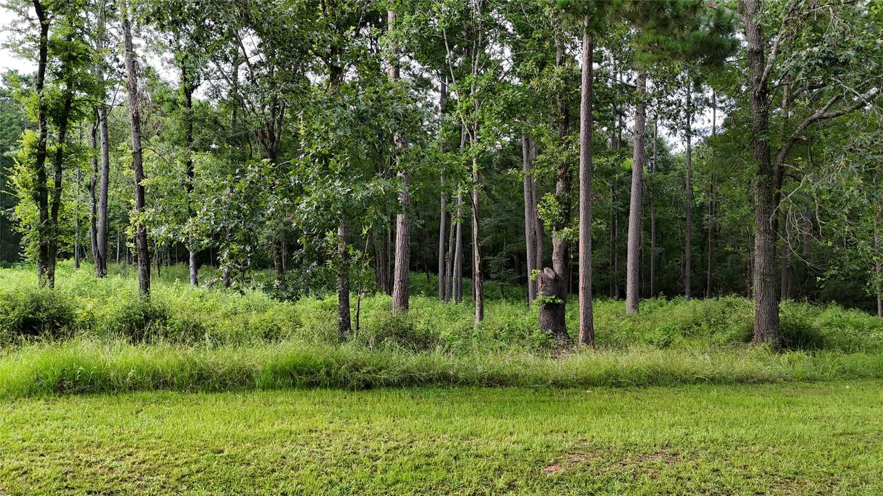 035 Naples Way - Photo 1