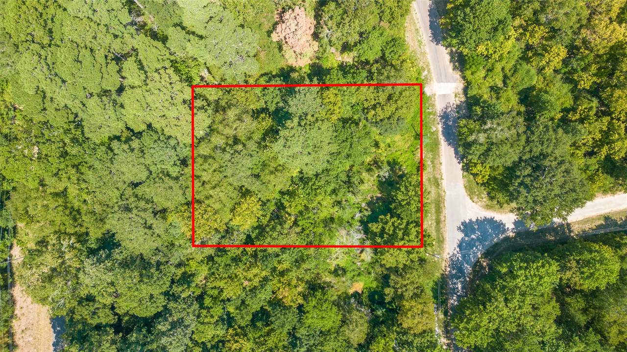 TBD Royal Creek Road - Photo 1