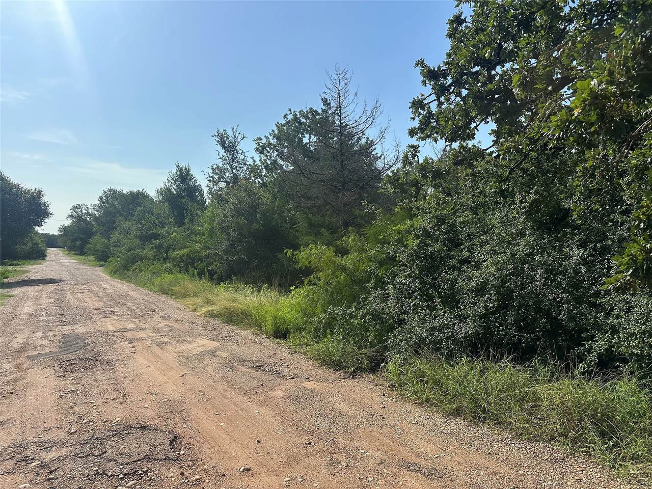 600 Blueberry Hill Road - Photo 1