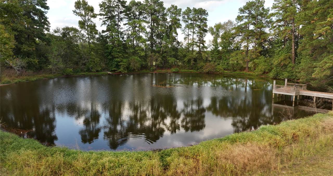 12039 Amberwood Dr - Photo 1