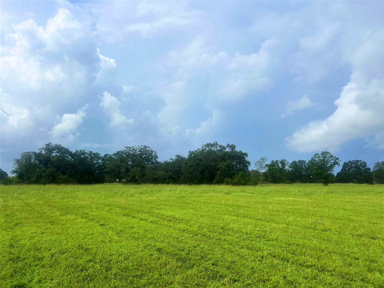 1238 Frontier Trail - Photo 1
