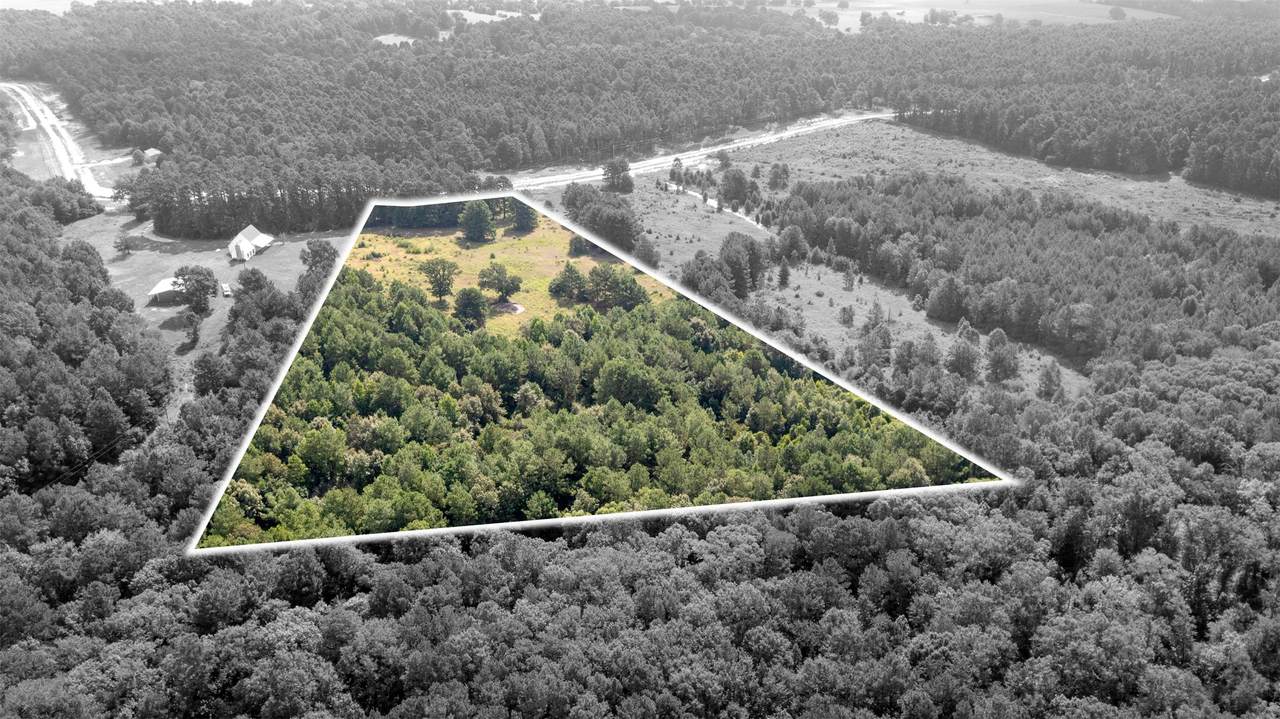 0 Vineyard View Trail - Photo 1