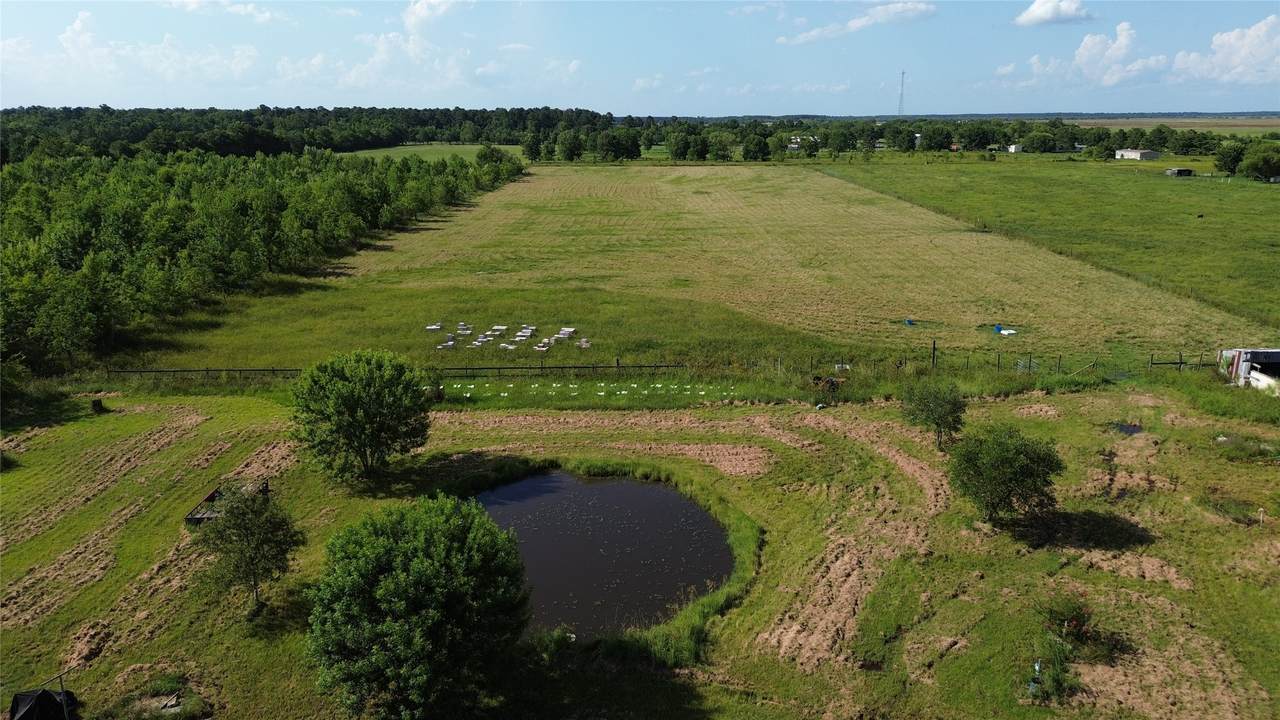 170 County Road 6243 Road - Photo 1