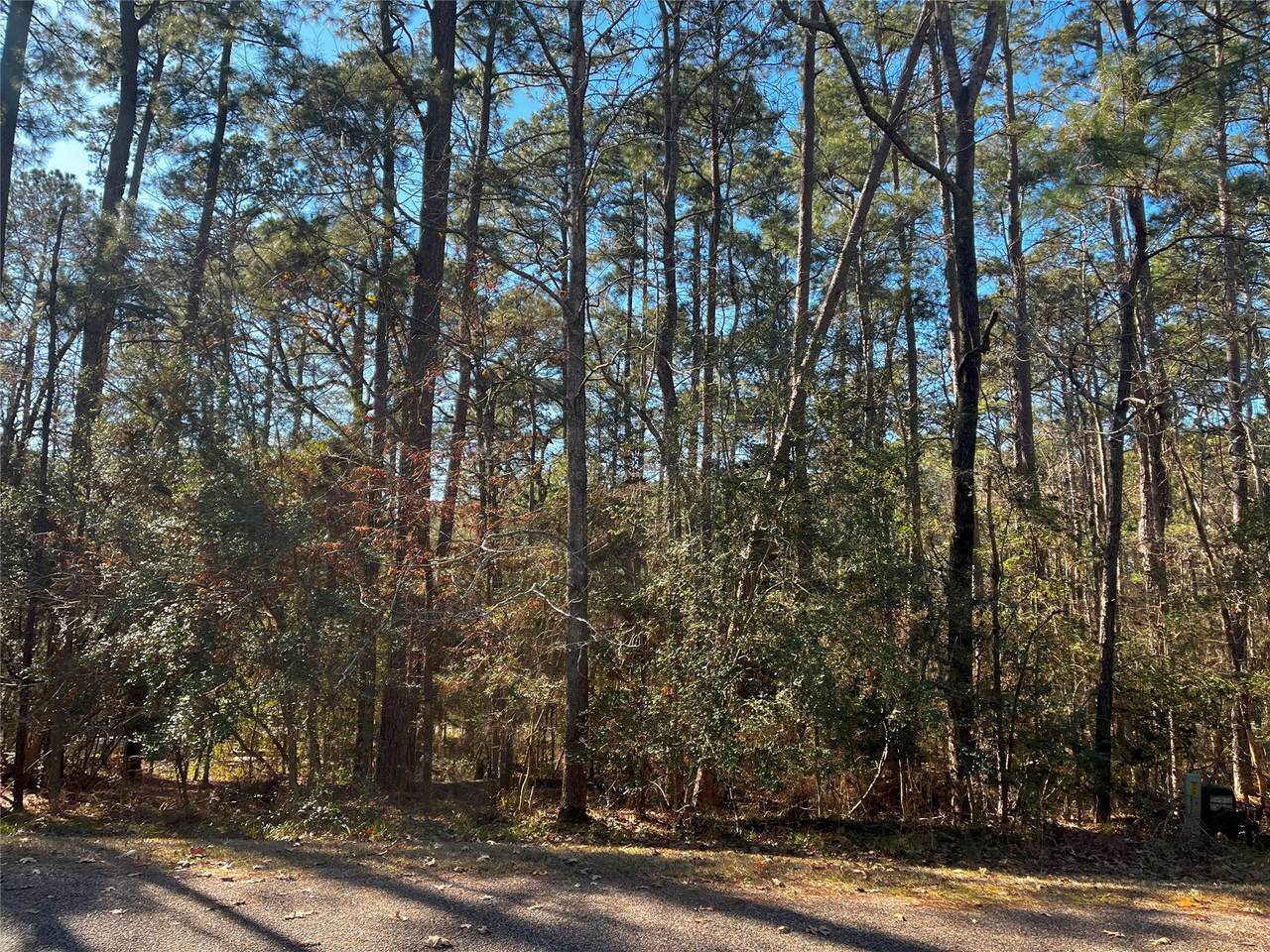 61 Sunny Hill Drive - Photo 1