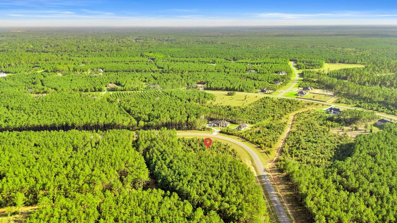 16086 Forest Mill Road - Photo 1