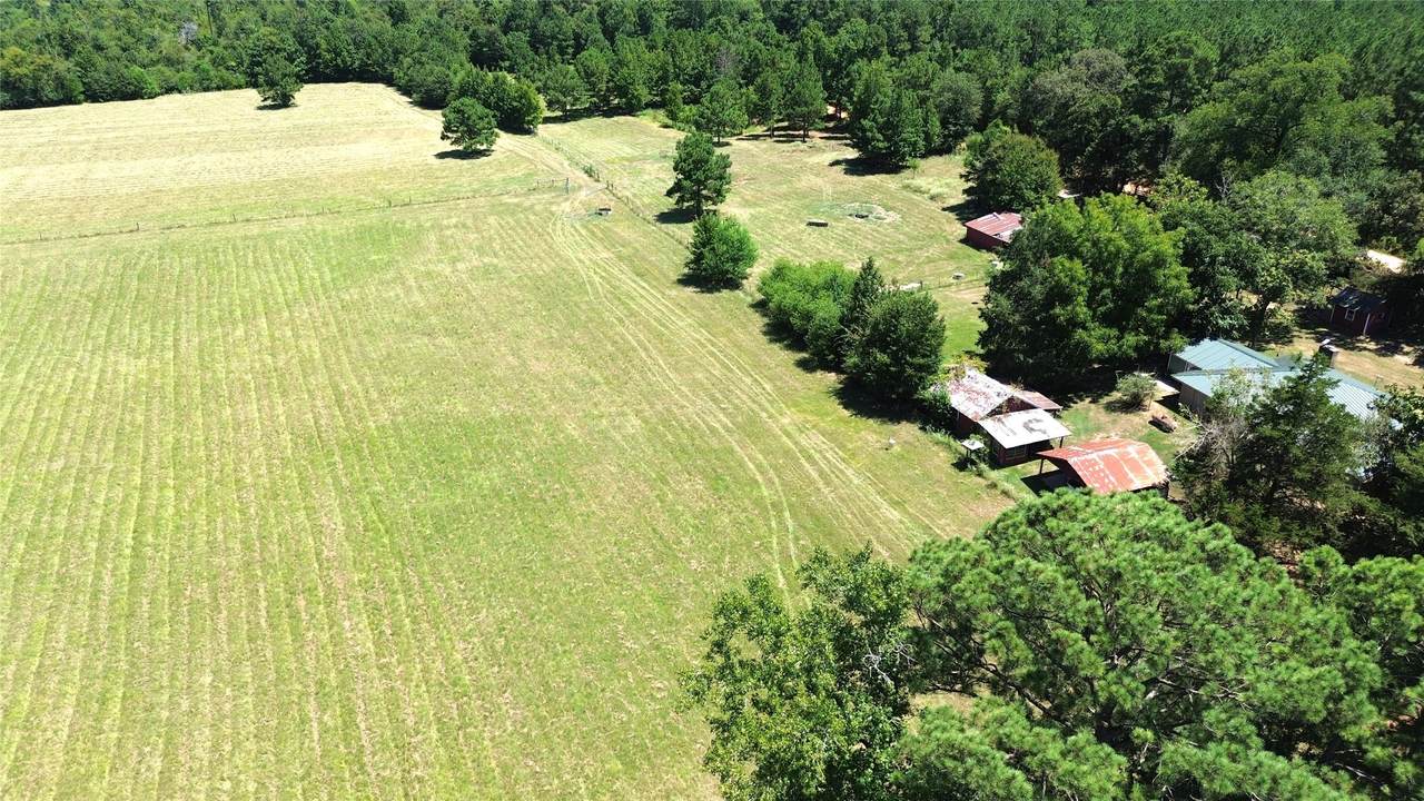 1684 County Road 1050 - Photo 1