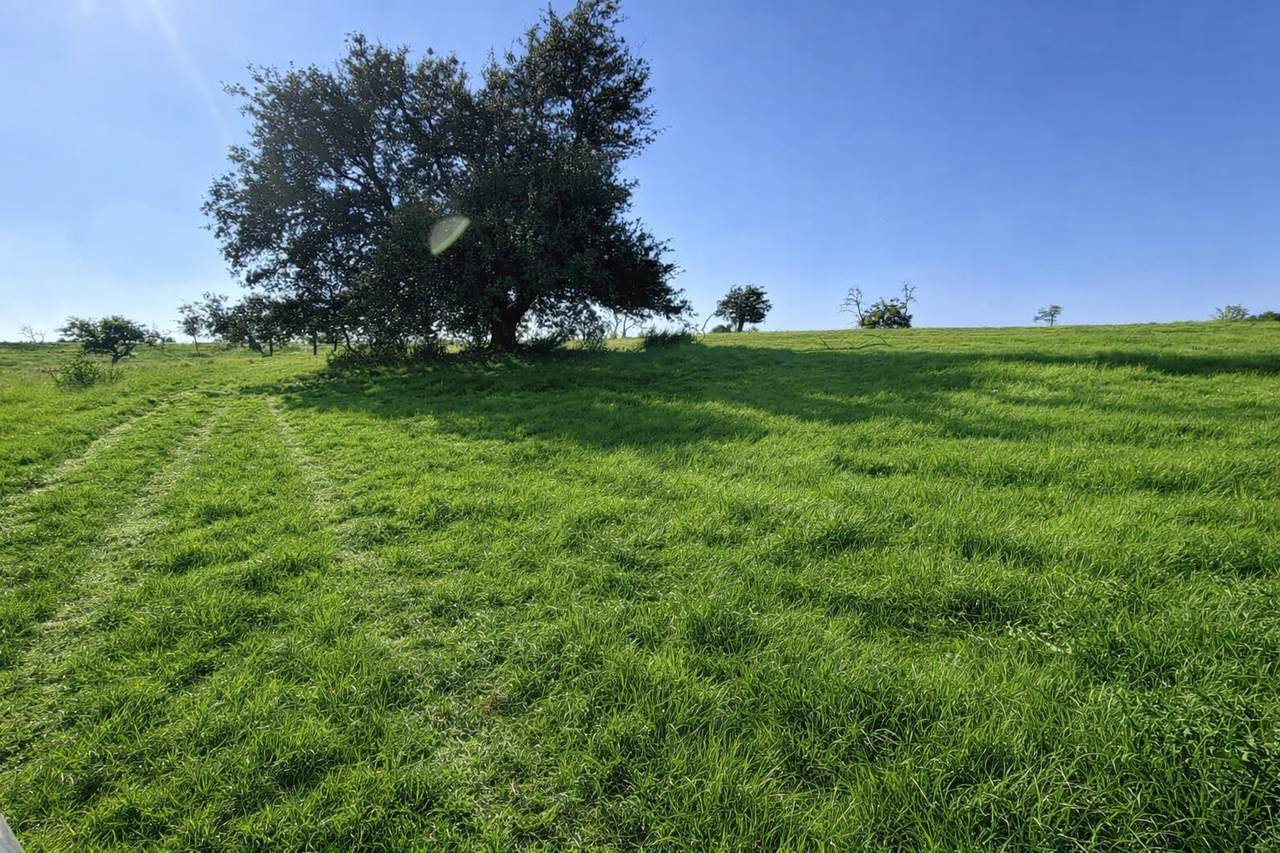 LT 3 Badger Ridge Road - Photo 1