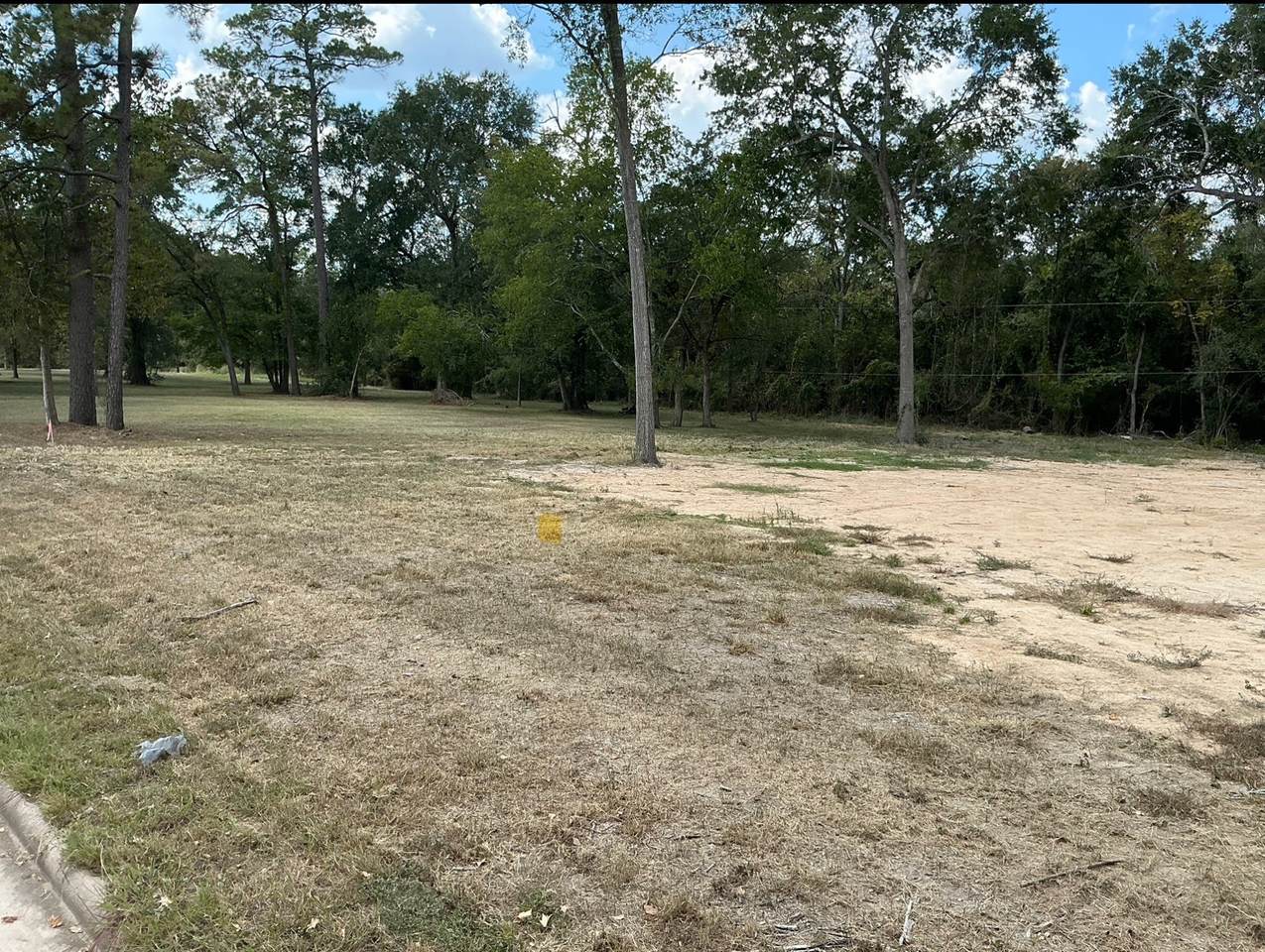 1530 Cypress Cove Street - Photo 1