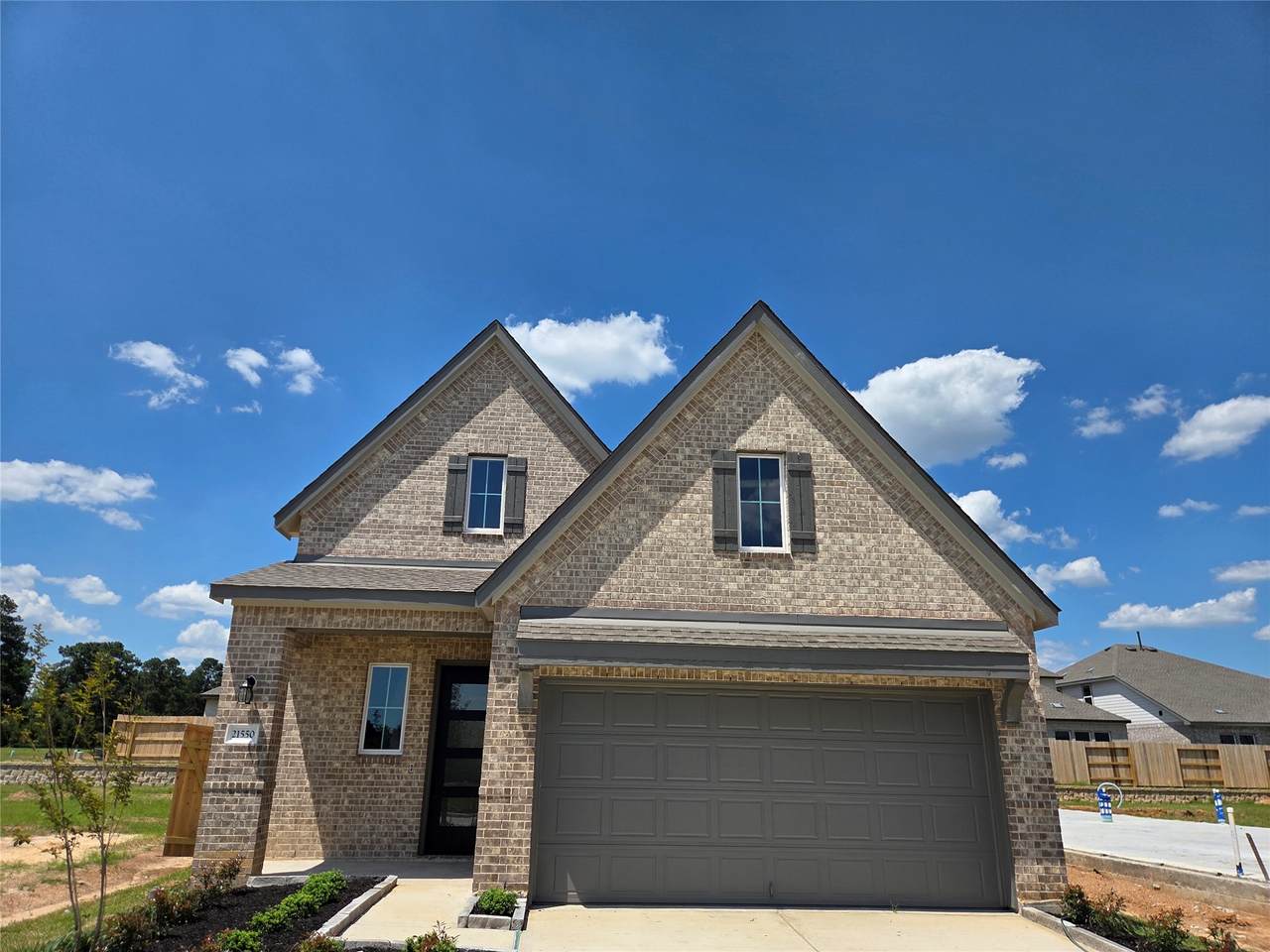 21550 Witham Promenade Lane - Photo 1