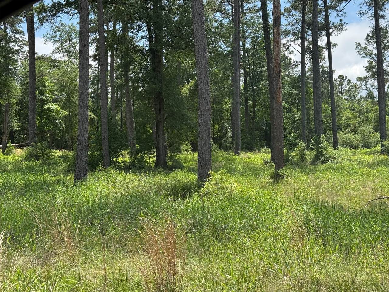 009 Private Road 6028 Tract 1-9 - Photo 1