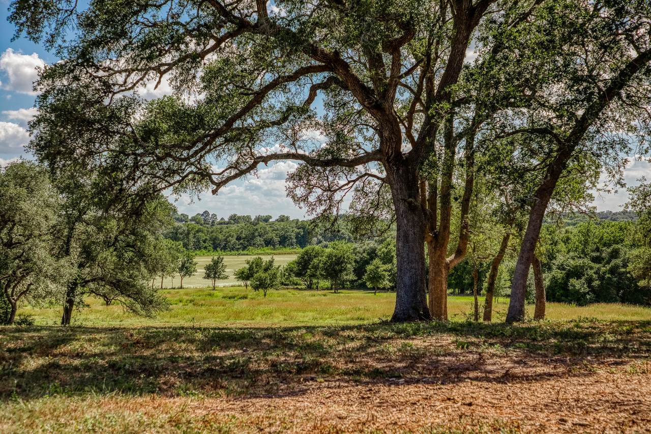 TBD Bauer Road - Photo 1