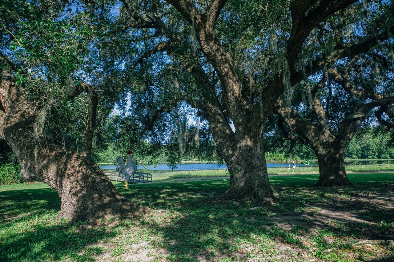 10671 Hidalgo Falls Rd - Photo 1