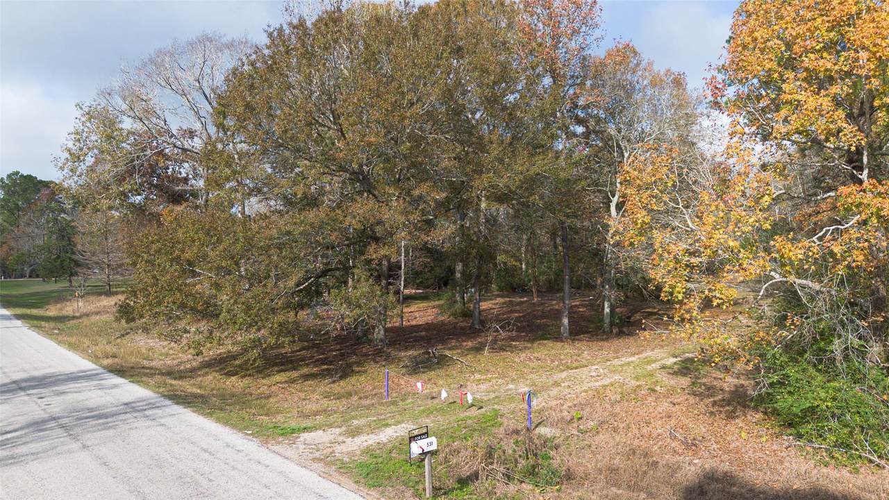 531 County Road 4882 - Photo 1