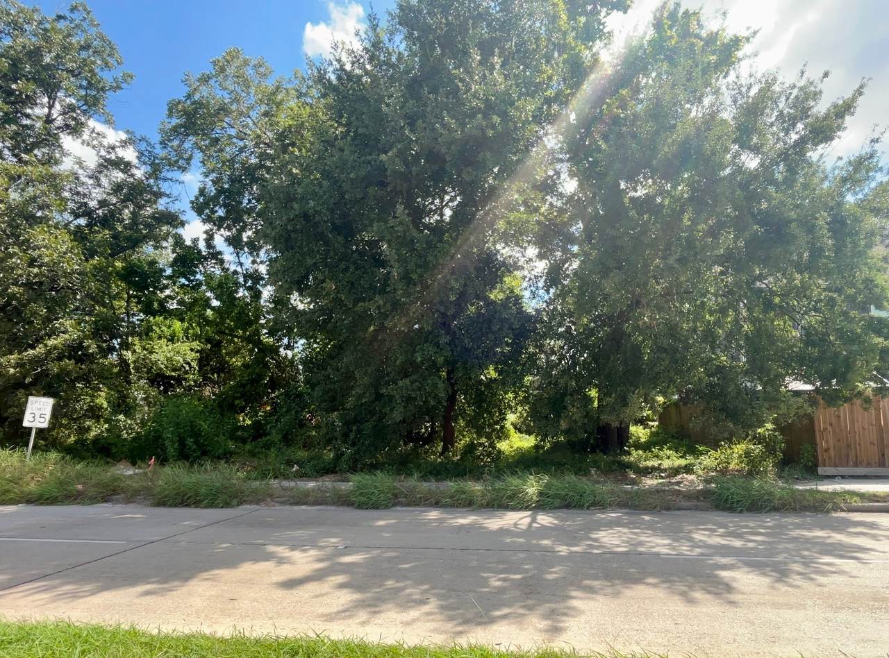 6520 Wheatley Street - Photo 1