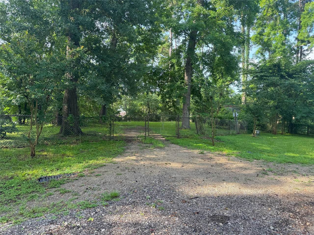 TBD Lakeshore /Black Walnut Drive - Photo 1