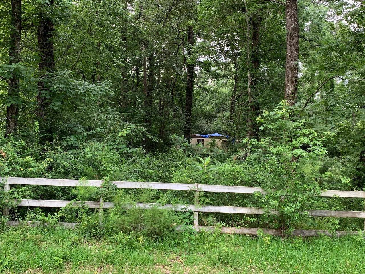 31110 Goldenrod Lane - Photo 1