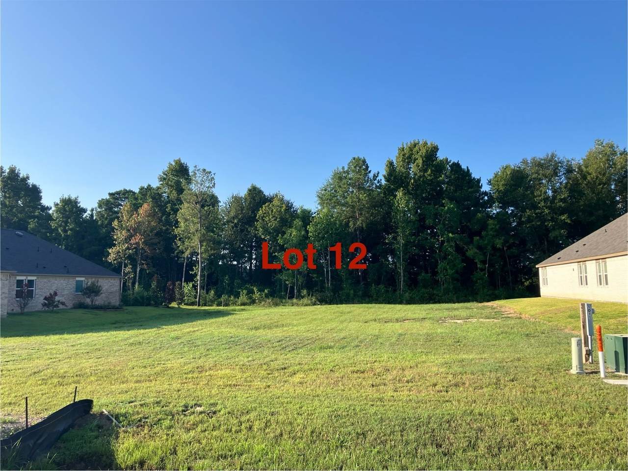 1011 Tarkington Timbers Drive - Photo 1