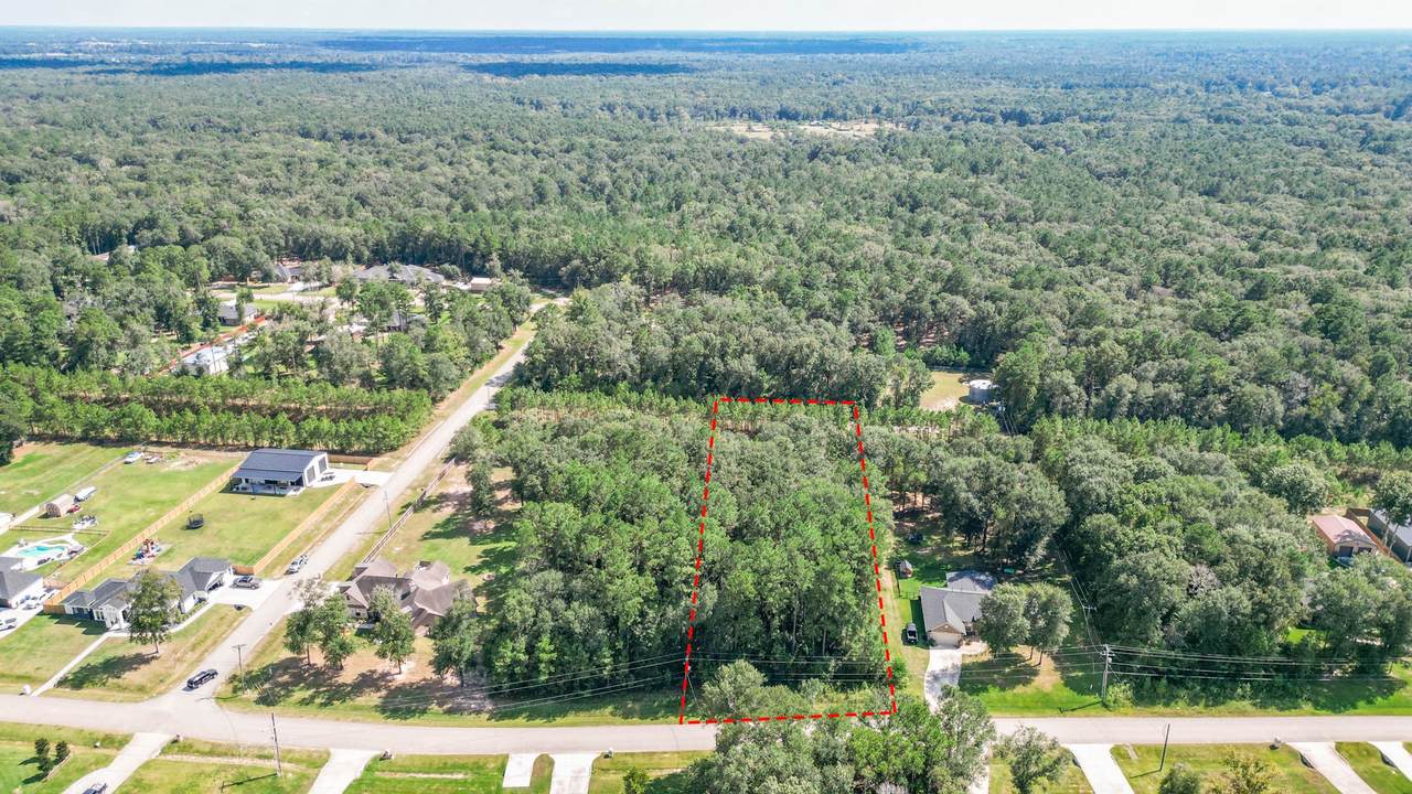 27542 Rio Blanco Drive - Photo 1