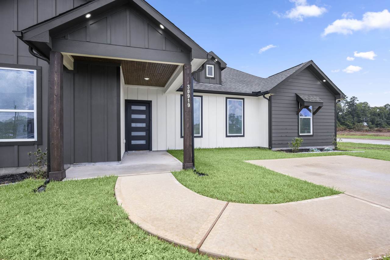 30919 Brown Pine Street - Photo 1