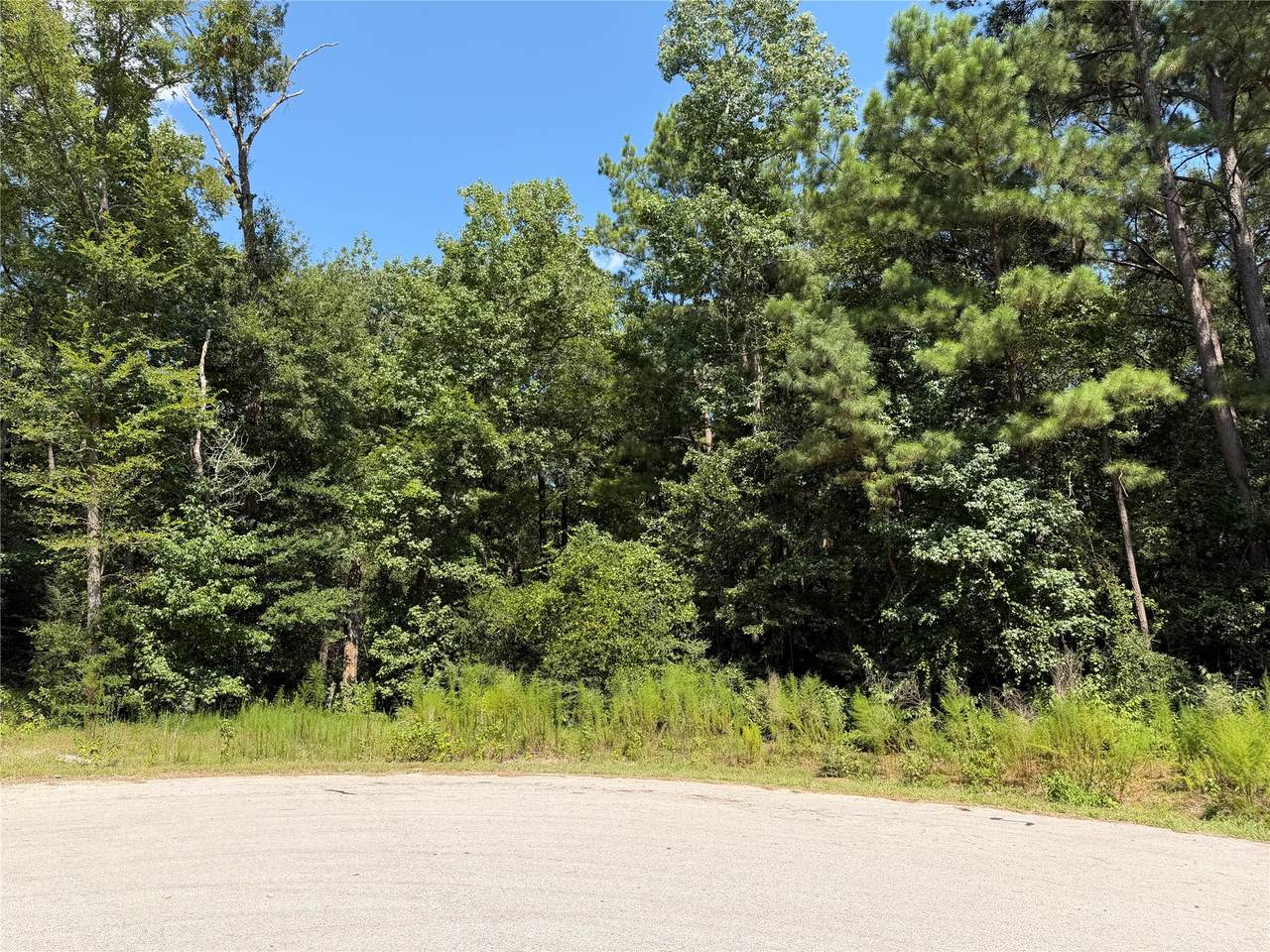 97-22-19 Granite Road - Photo 1