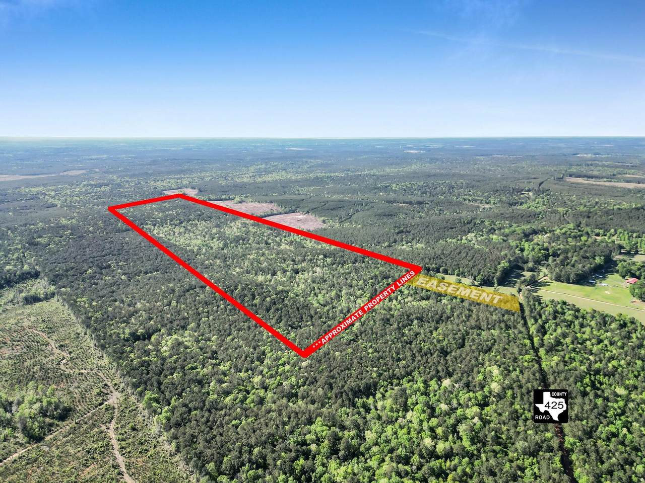 0000 County Road 425 - Photo 1